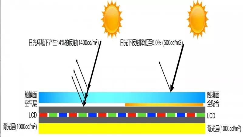 2.webp.jpg